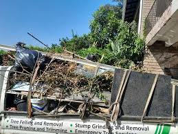 Best Foreclosure Cleanout  in Williamson, AZ