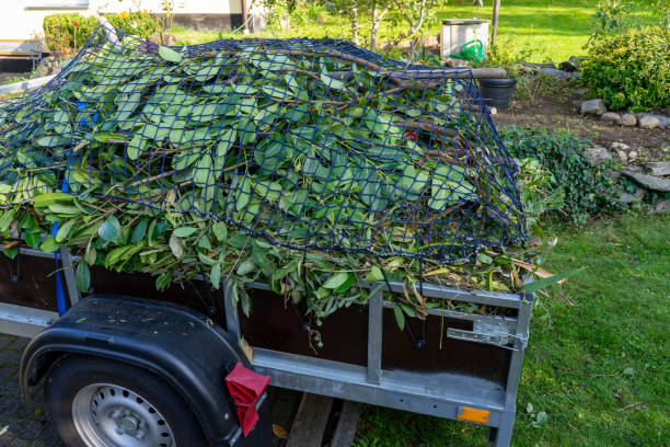 Best Yard Waste Removal  in Williamson, AZ